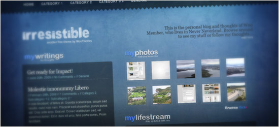 Irrestible WordPress Theme