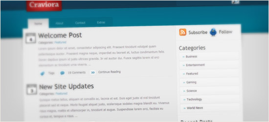 Craviora WordPress Theme